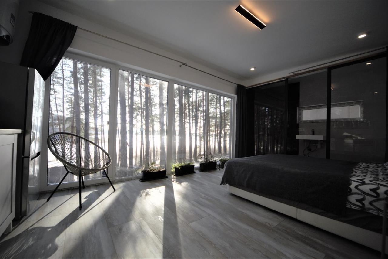 Gaujaclub - Our Bose And Bang&Olufsen Lofts On A Lake Gauja  Екстериор снимка