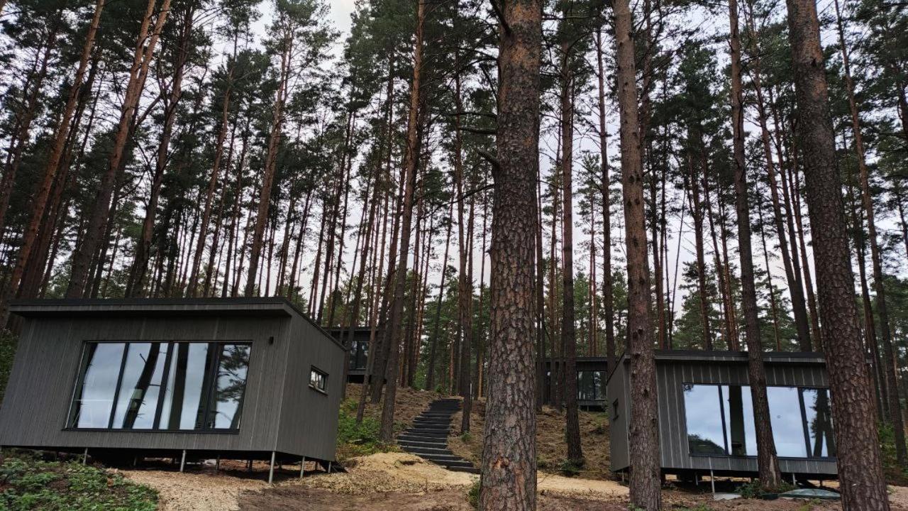 Gaujaclub - Our Bose And Bang&Olufsen Lofts On A Lake Gauja  Екстериор снимка