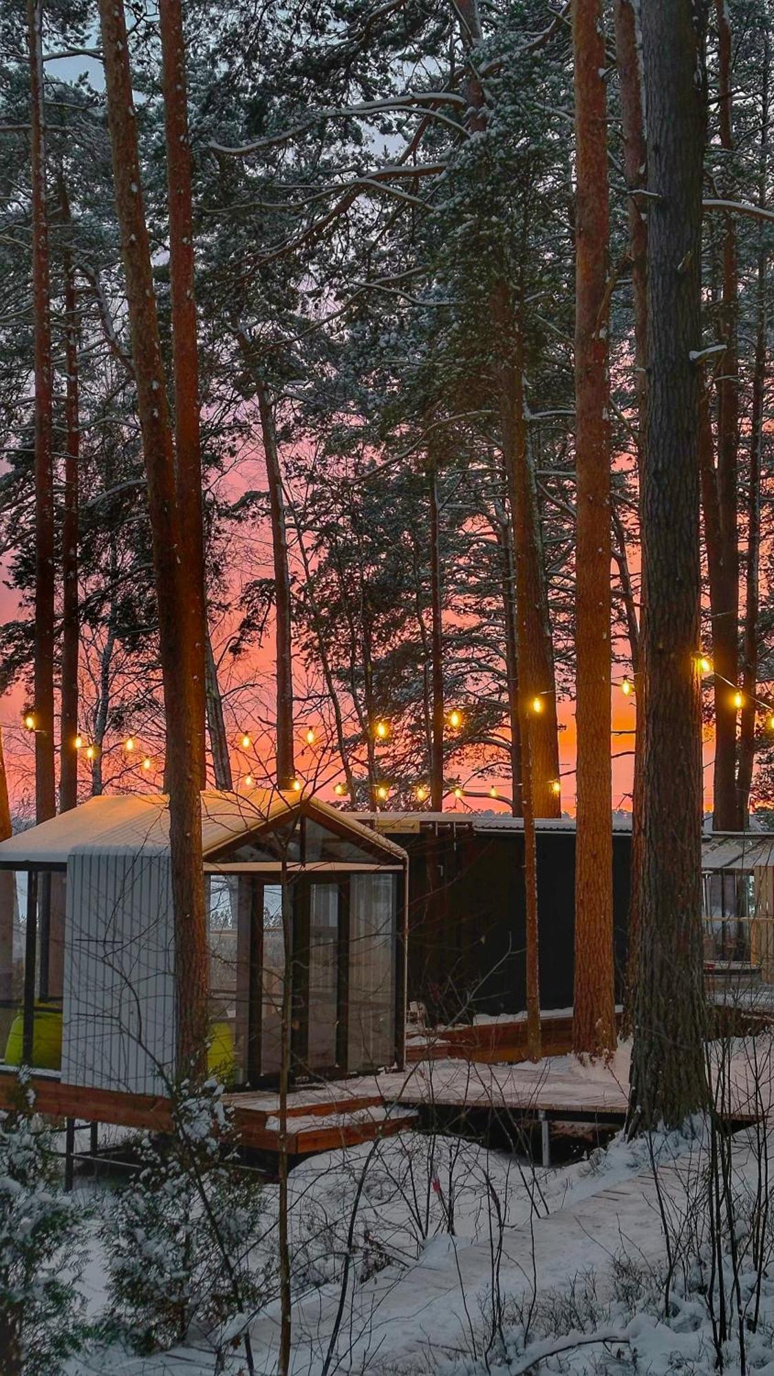Gaujaclub - Our Bose And Bang&Olufsen Lofts On A Lake Gauja  Екстериор снимка