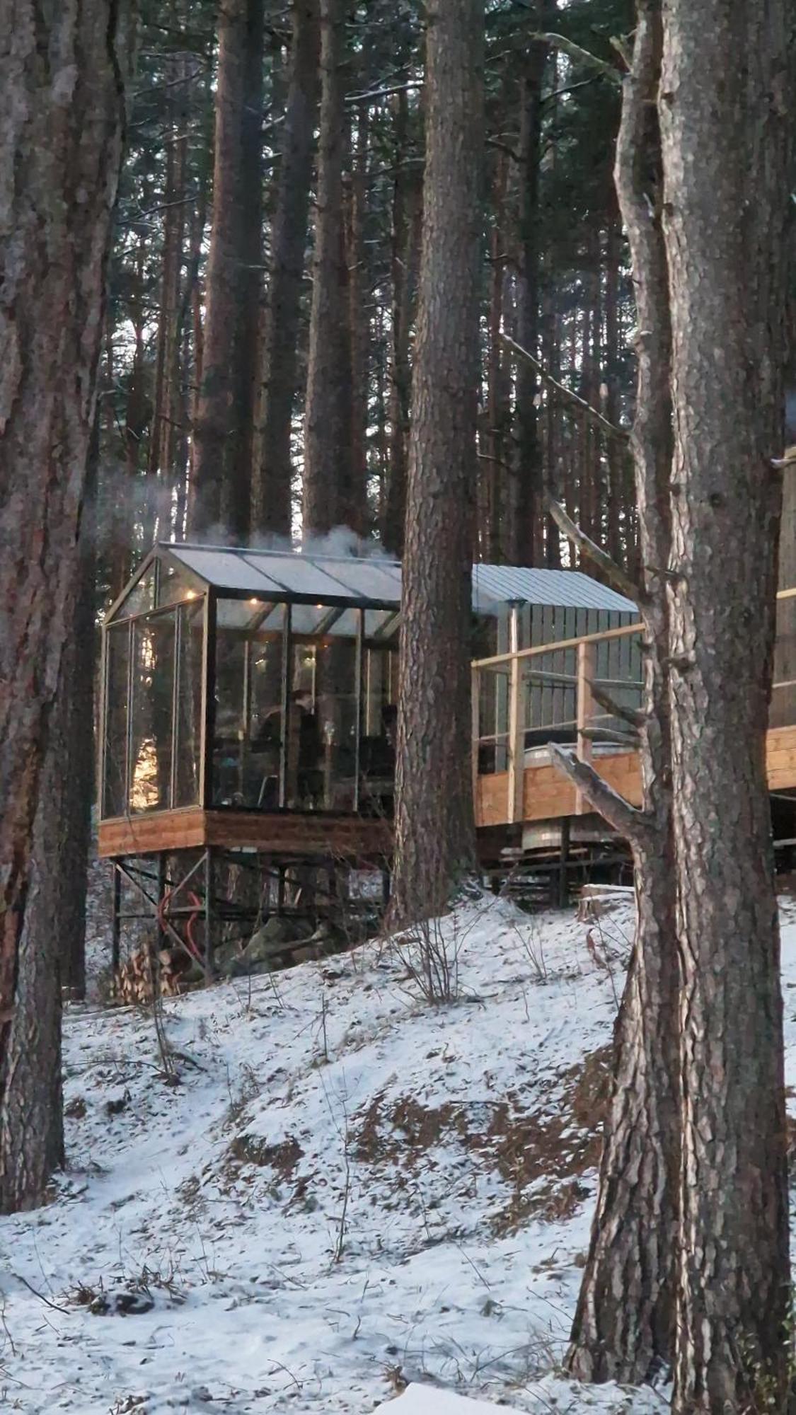 Gaujaclub - Our Bose And Bang&Olufsen Lofts On A Lake Gauja  Екстериор снимка