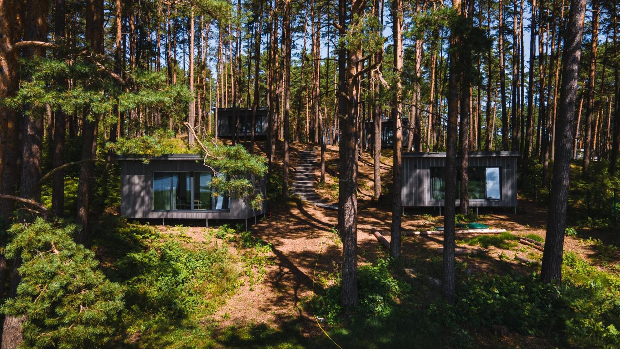 Gaujaclub - Our Bose And Bang&Olufsen Lofts On A Lake Gauja  Екстериор снимка
