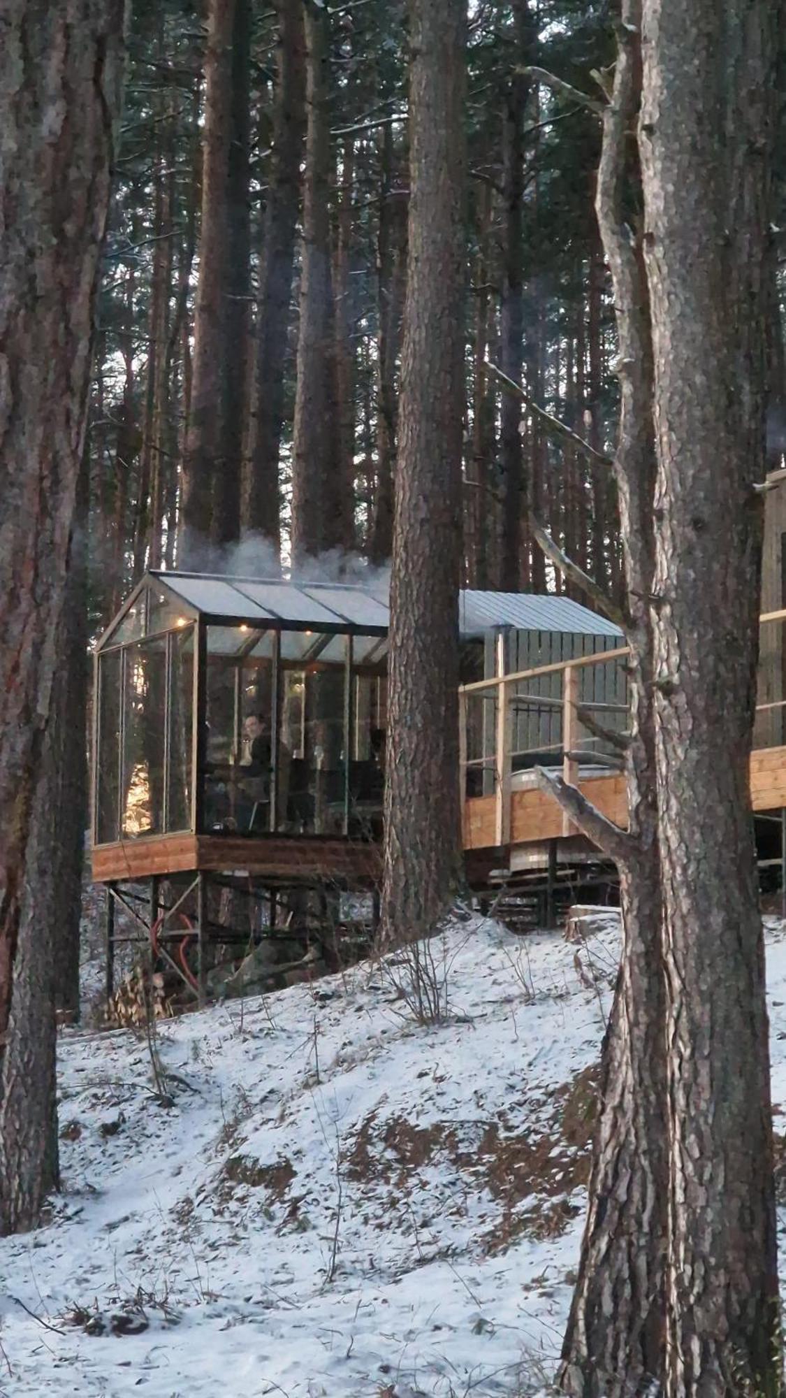 Gaujaclub - Our Bose And Bang&Olufsen Lofts On A Lake Gauja  Екстериор снимка