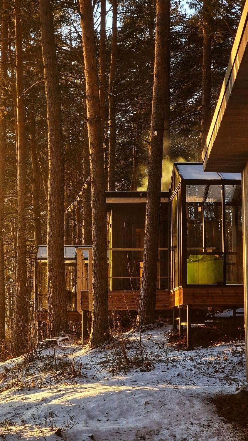 Gaujaclub - Our Bose And Bang&Olufsen Lofts On A Lake Gauja  Стая снимка